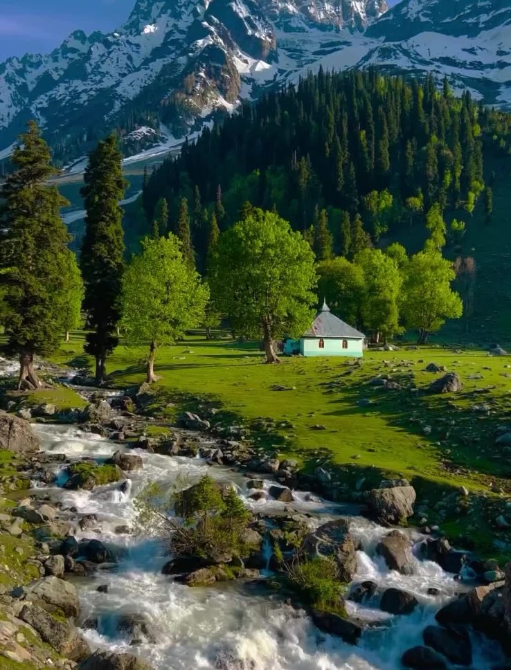 3f1b9888a42691b3b5439fc6883d1b85.0000000